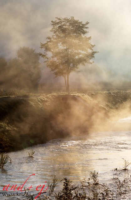 Fotografiranje življenjskega stila